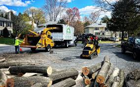 Best Tree Fertilization  in Hamlet, IN